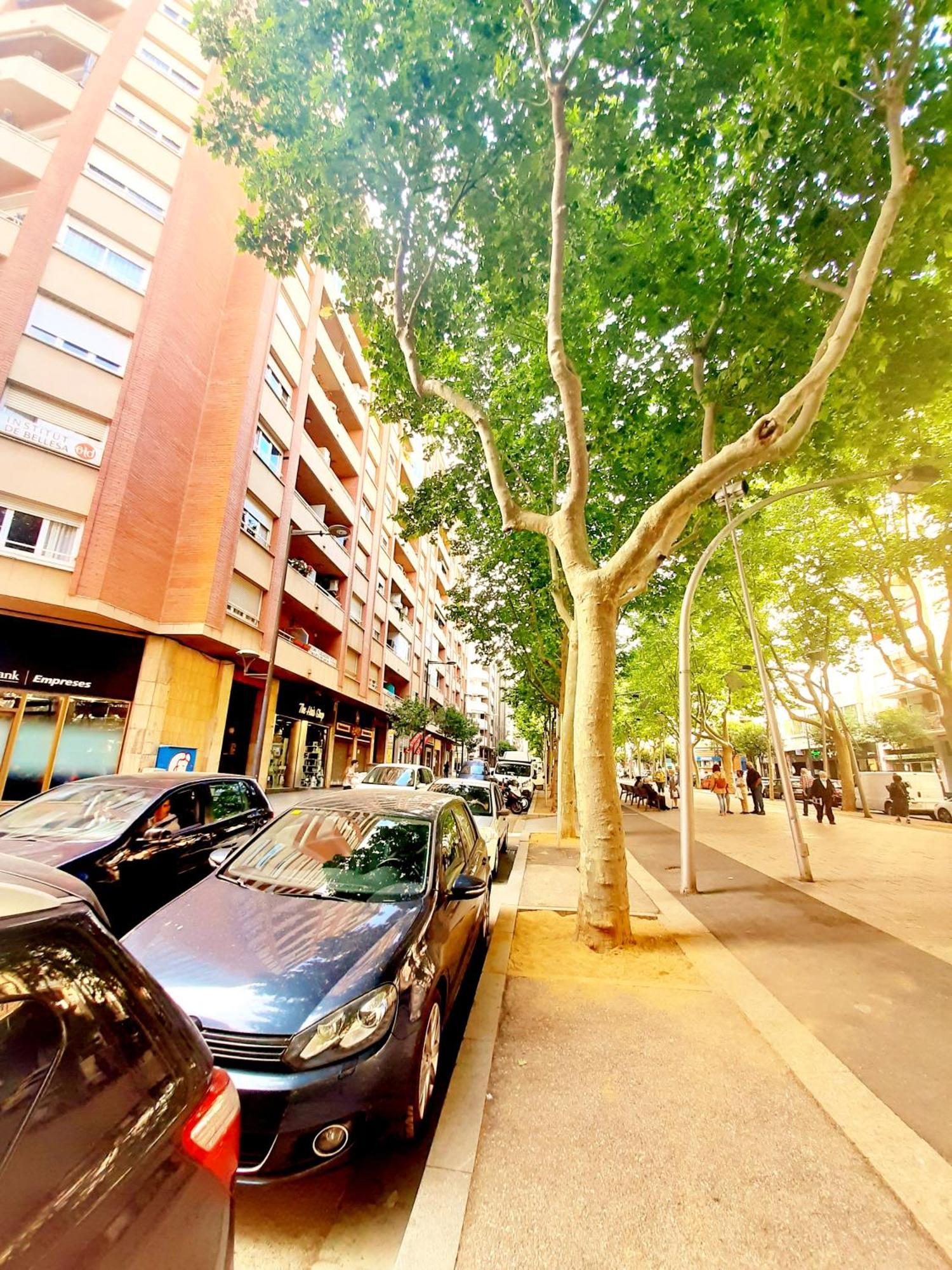 Tarragonaapartments Prim 350 Reus Dış mekan fotoğraf